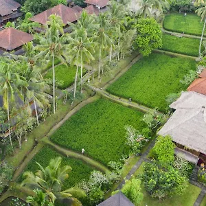 Ananda Resort Ubud (Bali)